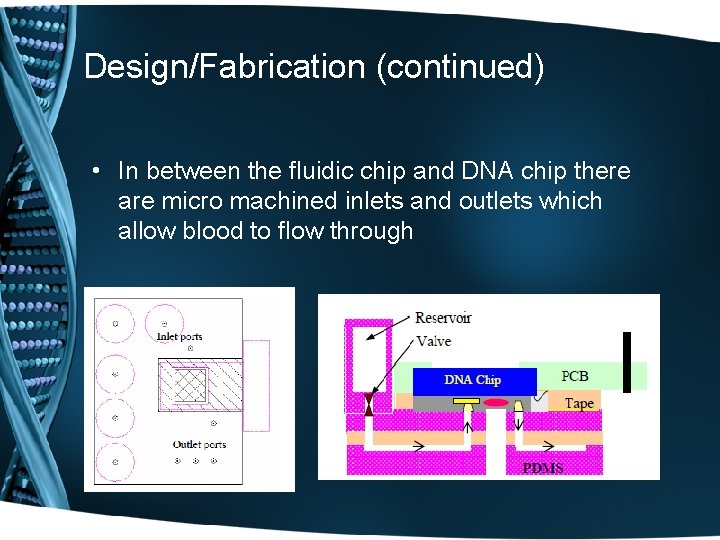 Design/Fabrication (continued) • In between the fluidic chip and DNA chip there are micro