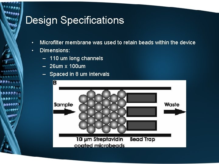 Design Specifications • • Microfilter membrane was used to retain beads within the device