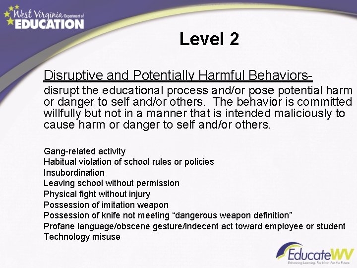 Level 2 Disruptive and Potentially Harmful Behaviorsdisrupt the educational process and/or pose potential harm