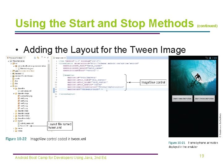 Using the Start and Stop Methods (continued) • Adding the Layout for the Tween