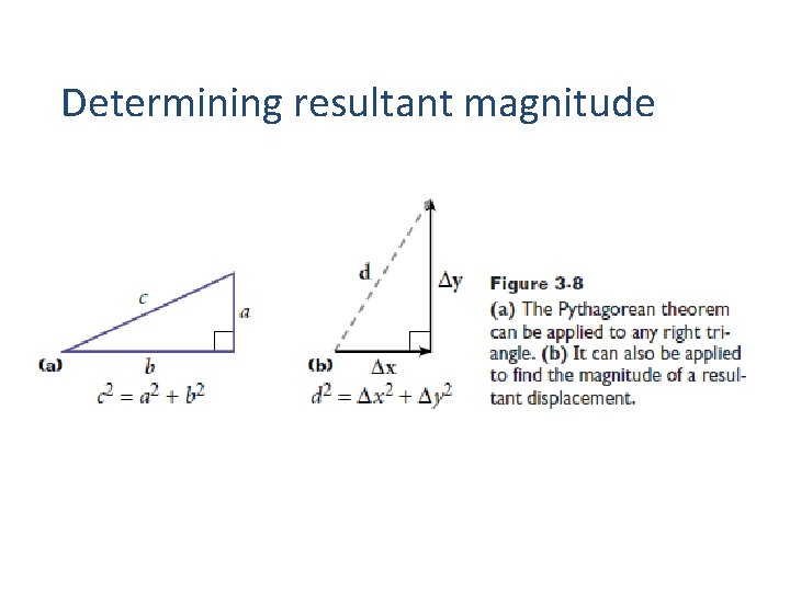 Determining resultant magnitude 