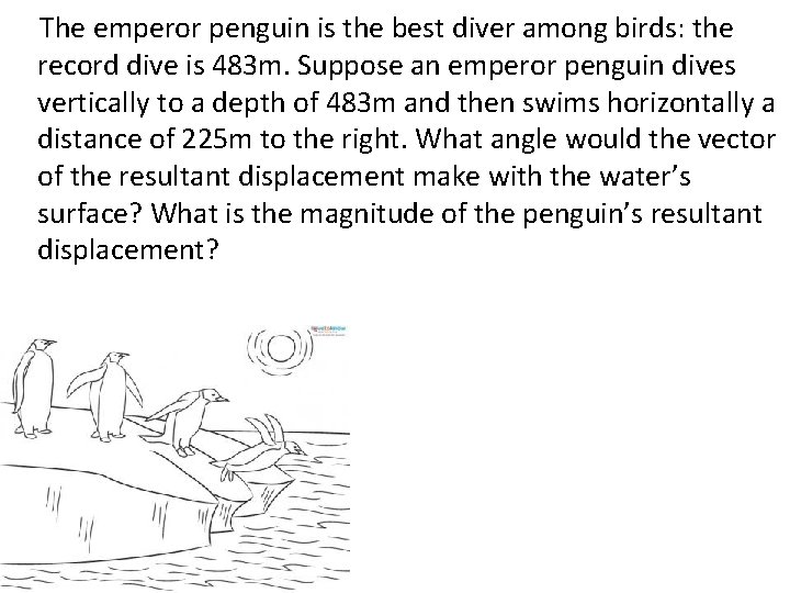 The emperor penguin is the best diver among birds: the record dive is 483