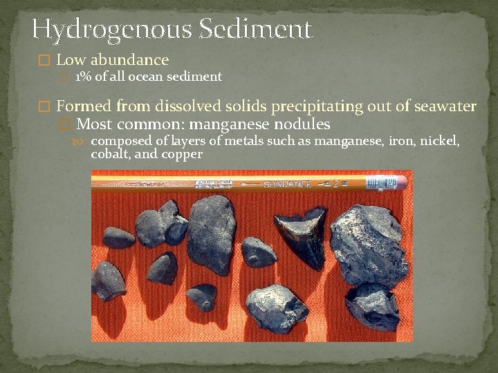 Hydrogenous Sediment � Low abundance � 1% of all ocean sediment � Formed from