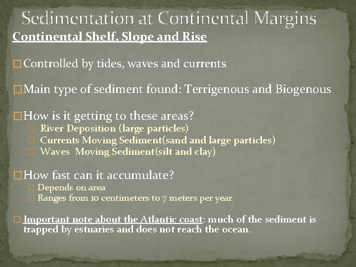 Sedimentation at Continental Margins Continental Shelf, Slope and Rise � Controlled by tides, waves