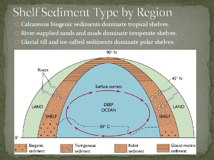 Shelf Sediment Type by Region � Calcareous biogenic sediments dominate tropical shelves. � River-supplied