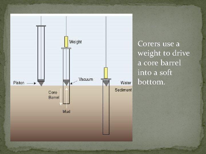 Corers use a weight to drive a core barrel into a soft bottom. 