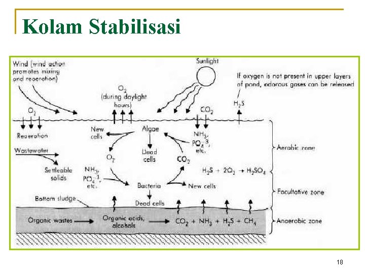 Kolam Stabilisasi 18 