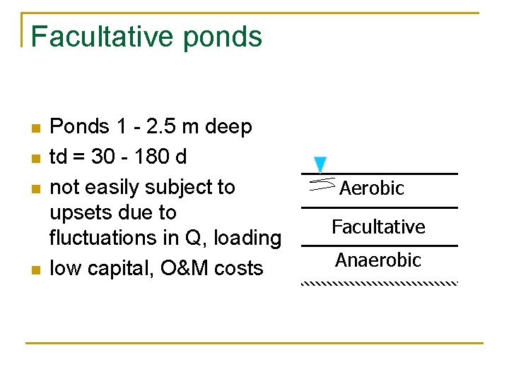Facultative ponds n n Ponds 1 - 2. 5 m deep td = 30