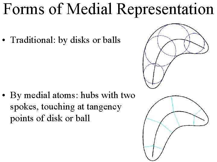 Forms of Medial Representation • Traditional: by disks or balls • By medial atoms: