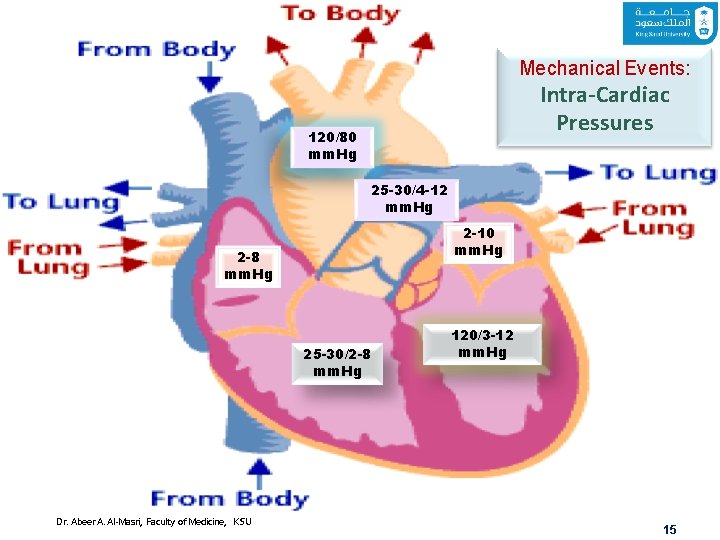 Mechanical Events: Intra-Cardiac Pressures 120/80 mm. Hg 25 -30/4 -12 mm. Hg 2 -10