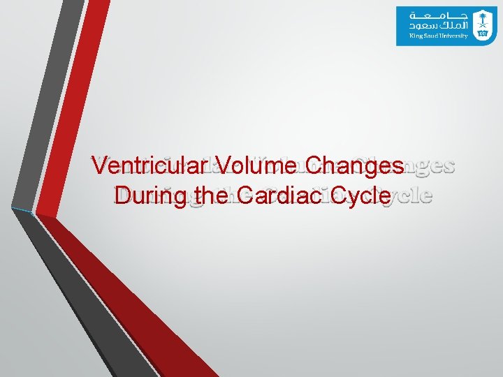 Ventricular Volume Changes During the Cardiac Cycle 