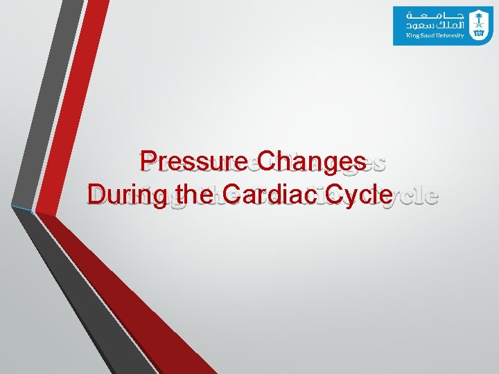 Pressure Changes During the Cardiac Cycle 