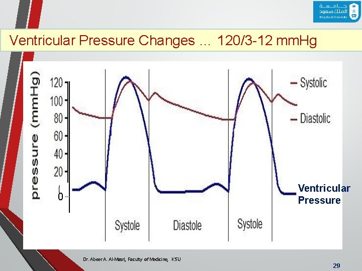 Ventricular Pressure Changes … 120/3 -12 mm. Hg Ventricular Pressure 0 Dr. Abeer A.