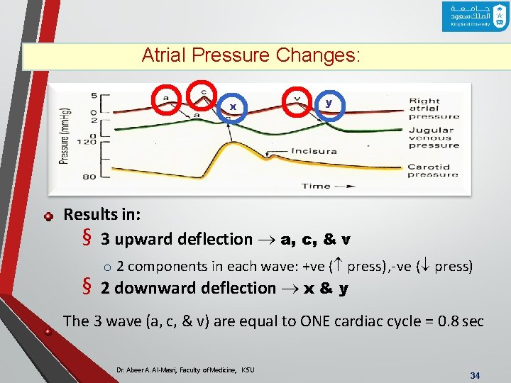 Atrial Pressure Changes: x y Results in: § 3 upward deflection a, c, &