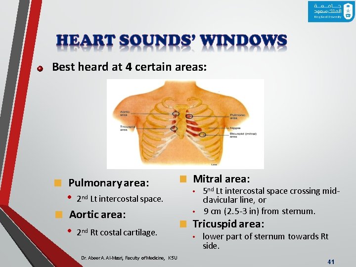 Best heard at 4 certain areas: ■ Pulmonary area: • 2 nd Rt costal