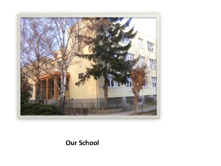 Our School 