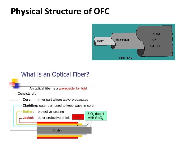 Physical Structure of OFC 
