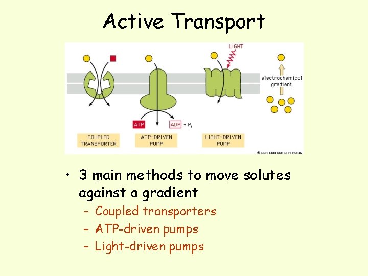 Active Transport • 3 main methods to move solutes against a gradient – Coupled