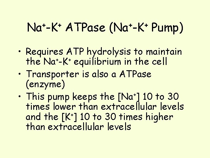 Na+-K+ ATPase (Na+-K+ Pump) • Requires ATP hydrolysis to maintain the Na+-K+ equilibrium in