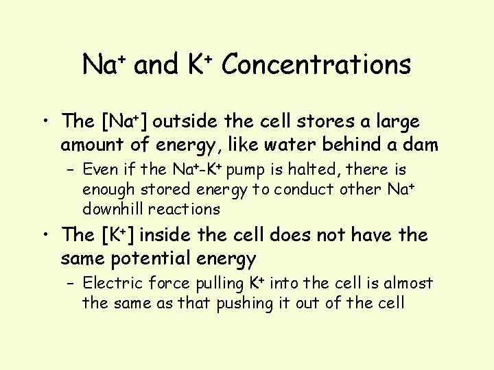 Na+ and K+ Concentrations • The [Na+] outside the cell stores a large amount