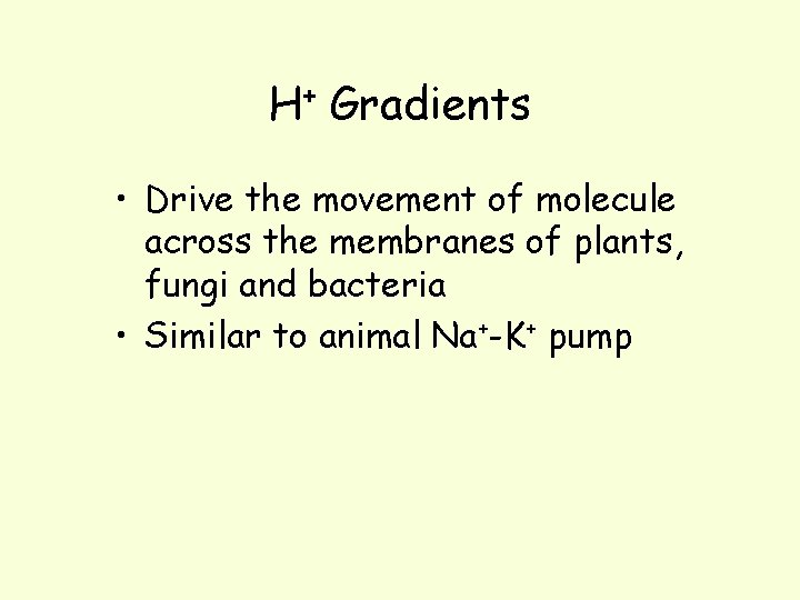 H+ Gradients • Drive the movement of molecule across the membranes of plants, fungi