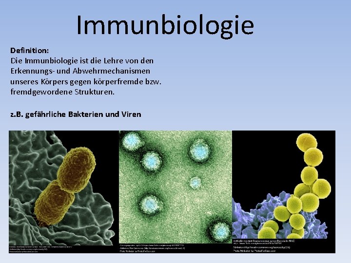 Immunbiologie Definition: Die Immunbiologie ist die Lehre von den Erkennungs- und Abwehrmechanismen unseres Körpers