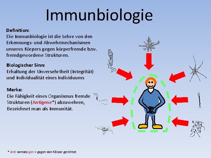 Immunbiologie Definition: Die Immunbiologie ist die Lehre von den Erkennungs- und Abwehrmechanismen unseres Körpers