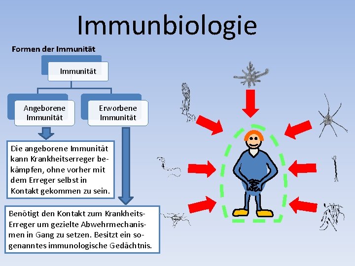 Immunbiologie Formen der Immunität Angeborene Immunität Erworbene Immunität Die angeborene Immunität kann Krankheitserreger bekämpfen,