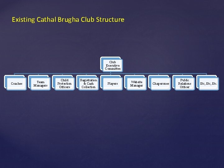 Existing Cathal Brugha Club Structure Club Executive Committee Coaches Team Managers Child Protection Officers