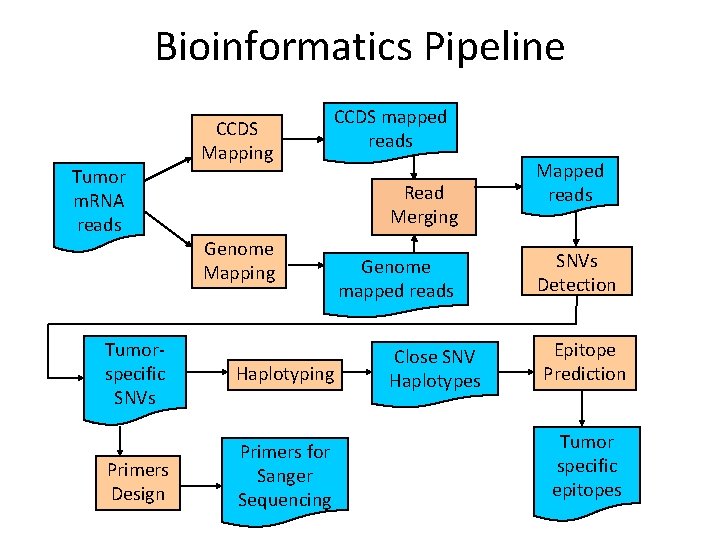 Bioinformatics Tools for Personalized Cancer Immunotherapy Ion Mandoiu