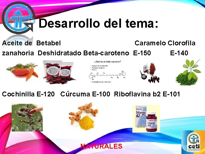 Desarrollo del tema: Aceite de Betabel Caramelo Clorofila zanahoria Deshidratado Beta-caroteno E-150 E-140 Cochinilla
