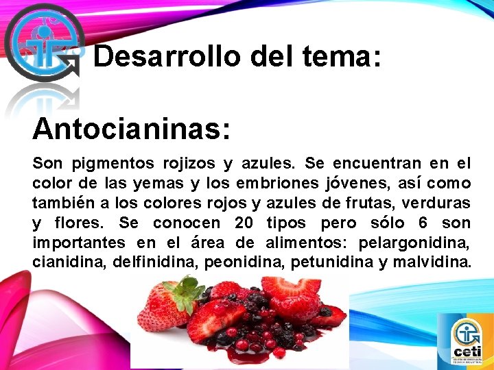 Desarrollo del tema: Antocianinas: Son pigmentos rojizos y azules. Se encuentran en el color