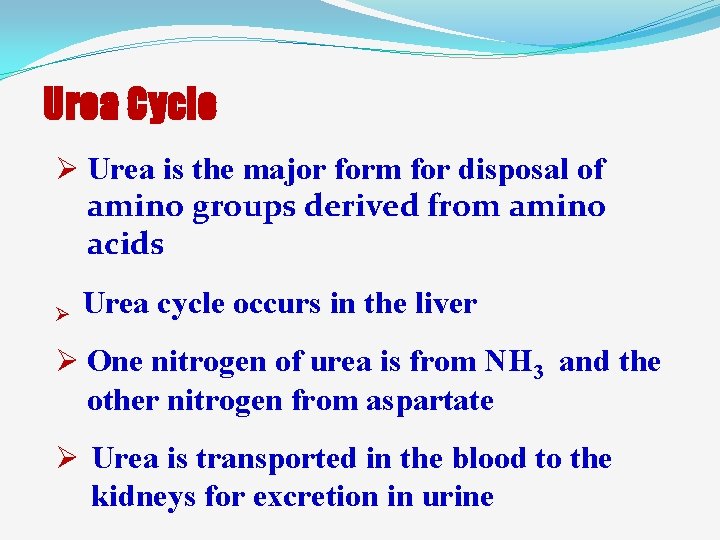 Urea Cycle Ø Urea is the major form for disposal of amino groups derived