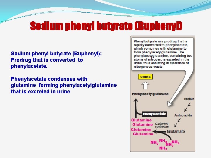 Sodium phenyl butyrate (Buphenyl): Prodrug that is converted to phenylacetate. Phenylacetate condenses with glutamine