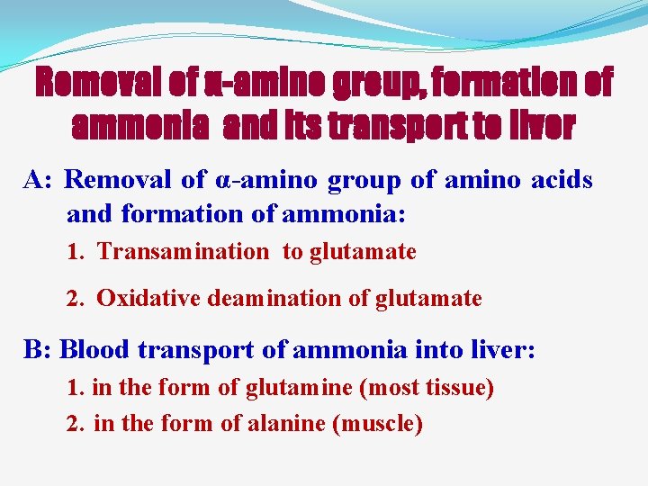 Removal of α-amino group, formation of ammonia and its transport to liver A: Removal