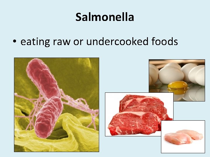 Salmonella • eating raw or undercooked foods 