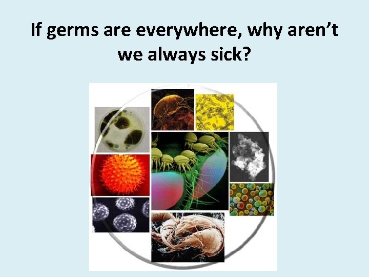 If germs are everywhere, why aren’t we always sick? 