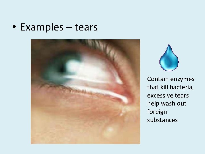  • Examples – tears Contain enzymes that kill bacteria, excessive tears help wash