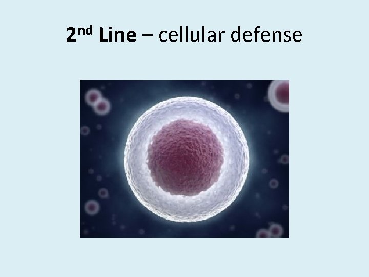 2 nd Line – cellular defense 