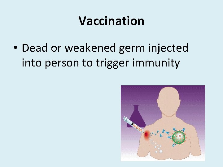 Vaccination • Dead or weakened germ injected into person to trigger immunity 