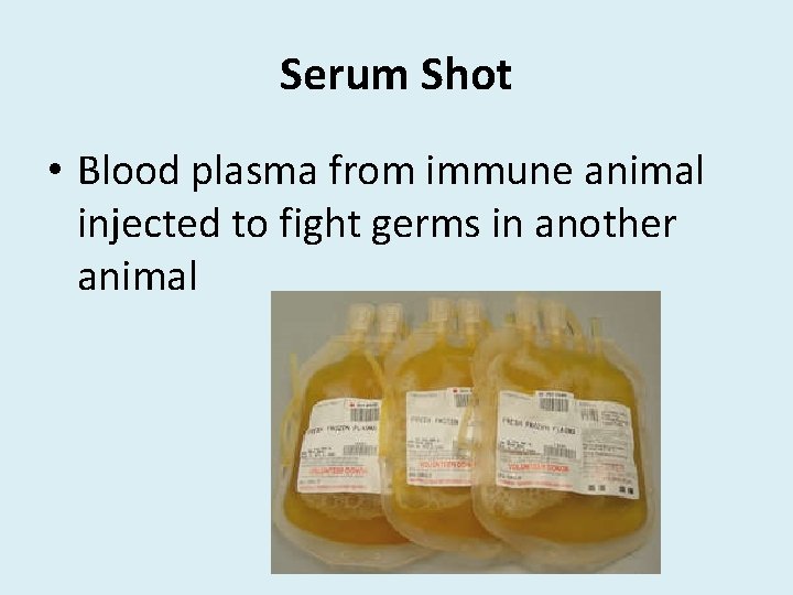 Serum Shot • Blood plasma from immune animal injected to fight germs in another