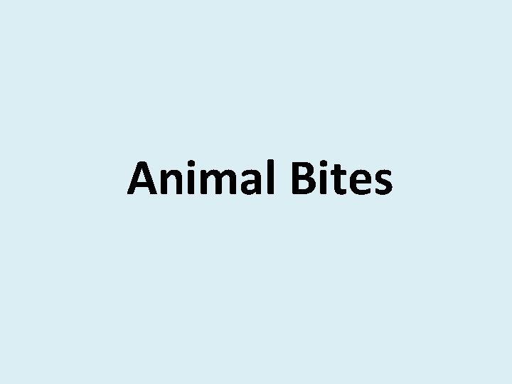 Animal Bites 