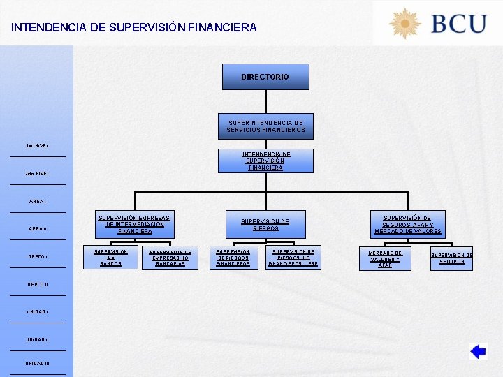 INTENDENCIA DE SUPERVISIÓN FINANCIERA DIRECTORIO SUPERINTENDENCIA DE SERVICIOS FINANCIEROS 1 er NIVEL INTENDENCIA DE