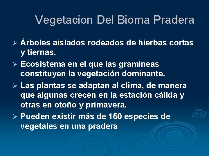 Vegetacion Del Bioma Pradera Árboles aislados rodeados de hierbas cortas y tiernas. Ø Ecosistema