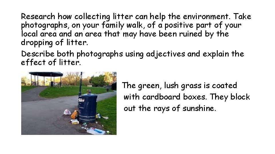 Research how collecting litter can help the environment. Take photographs, on your family walk,