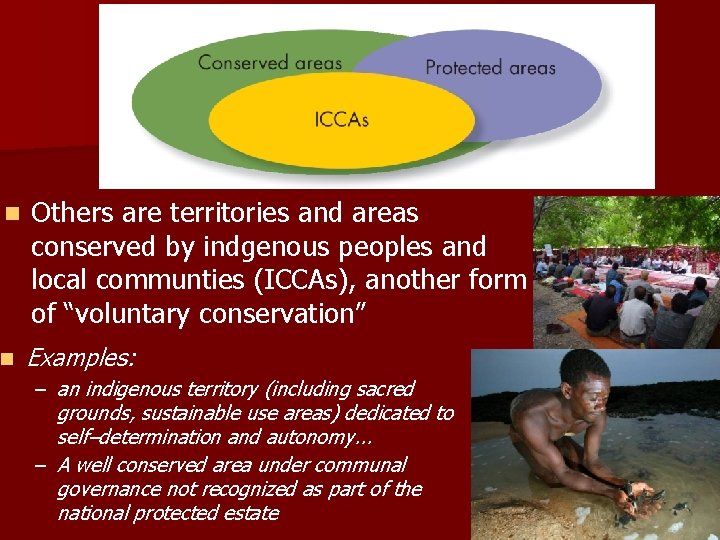 n Others are territories and areas conserved by indgenous peoples and local communties (ICCAs),