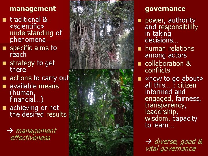 management n n n traditional & «scientific» understanding of phenomena specific aims to reach