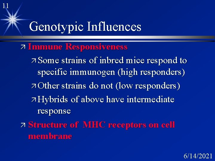 11 Genotypic Influences ä Immune Responsiveness ä Some strains of inbred mice respond to