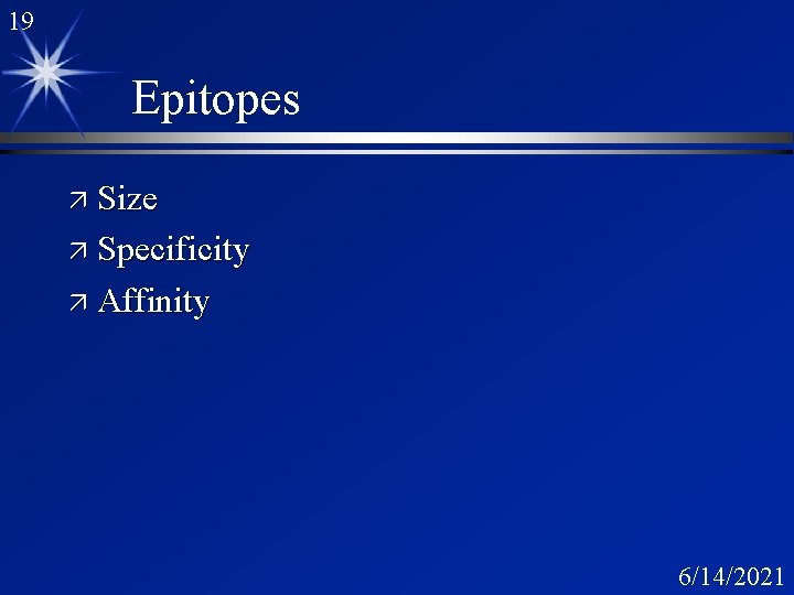 19 Epitopes ä Size ä Specificity ä Affinity 6/14/2021 