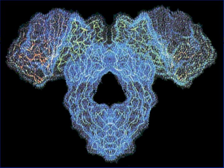 22 Immunoglobulin: B cell receptor 6/14/2021 